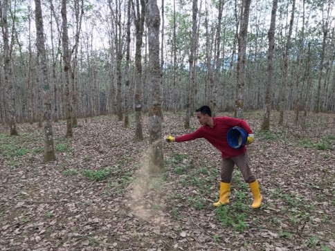 Malaysian Rubber Board
