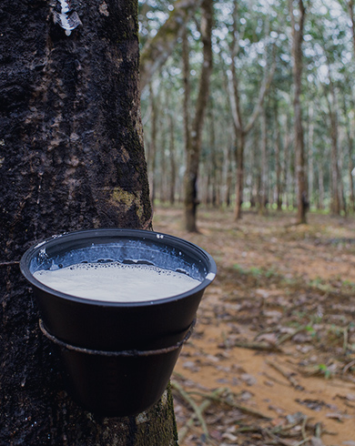 Malaysian Rubber Board